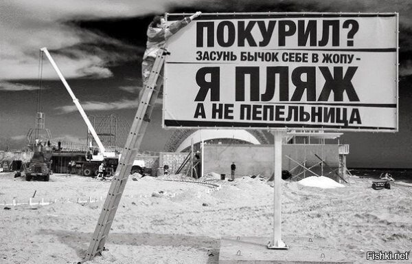 Из солянки