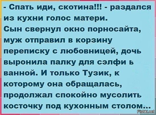 Из солянки