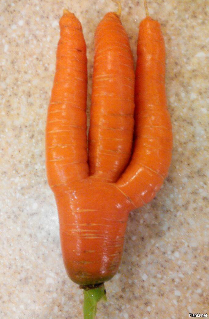 Ось яка морква патріотична