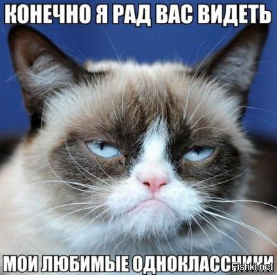 Из солянки