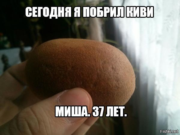 Из солянки