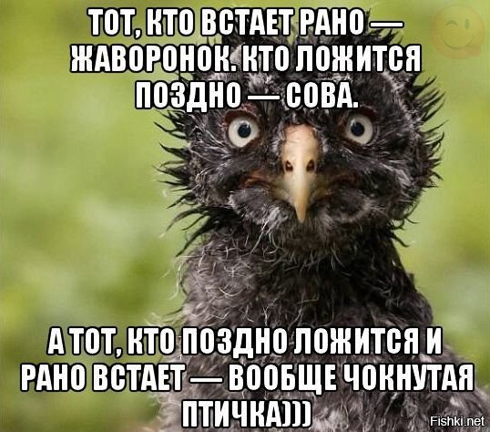 Из солянки