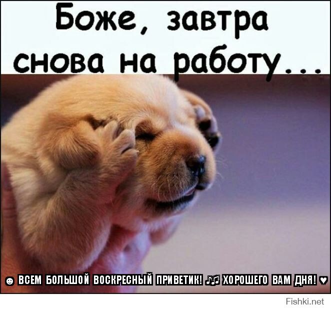 ☻  ВСЕМ  БОЛЬШОЙ  ВОСКРЕСНЫЙ  ПРИВЕТИК!  ♪♫  ХОРОШЕГО  ВАМ  ДНЯ!  ♥