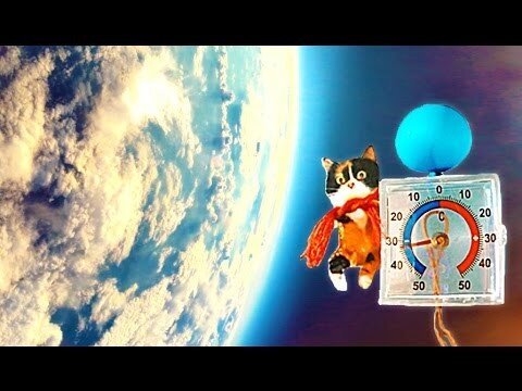 Как кошка Куки в космос летала