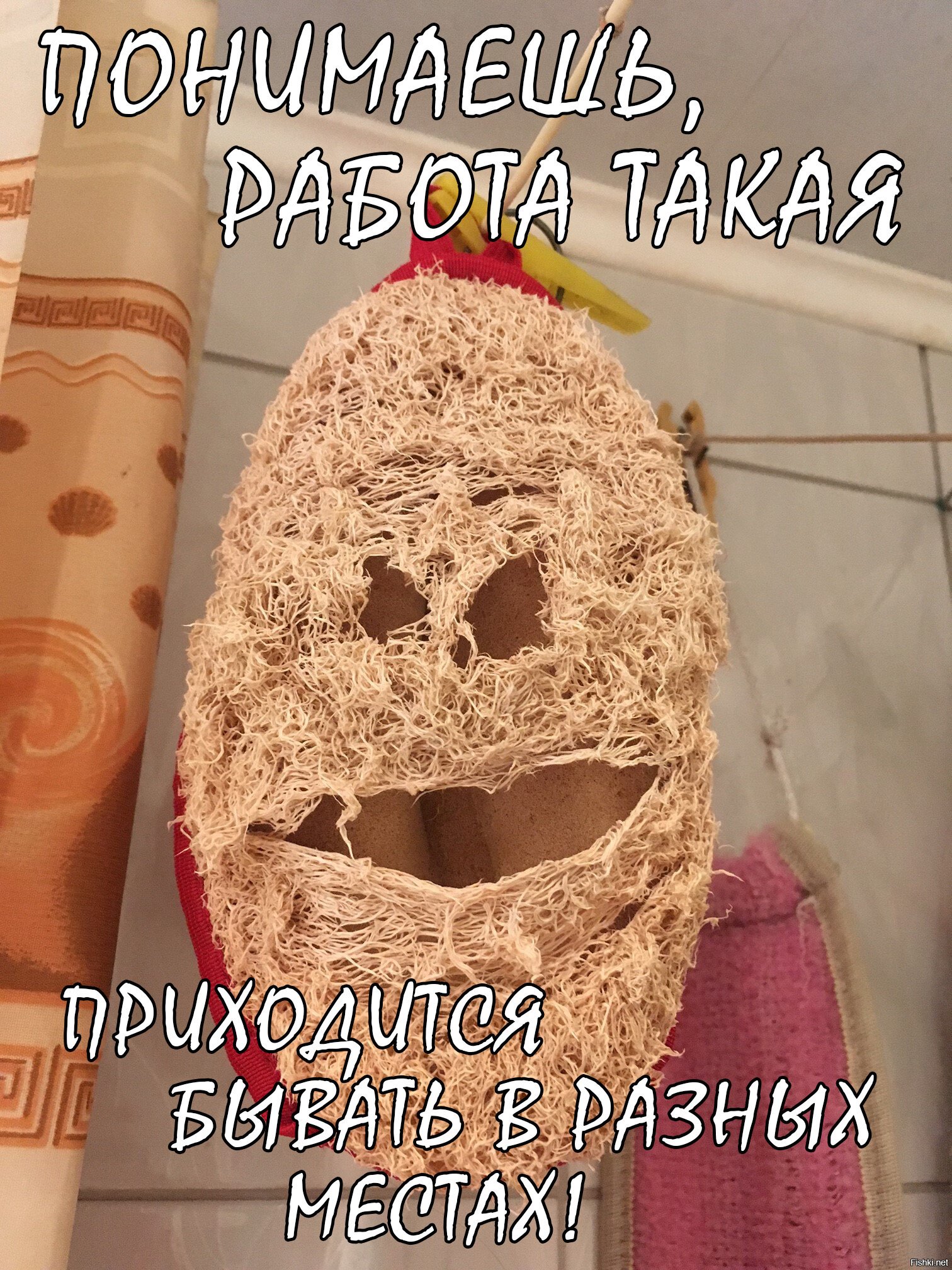 Из солянки