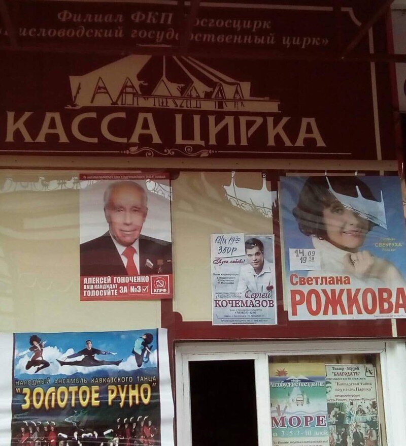 Все в цирк!