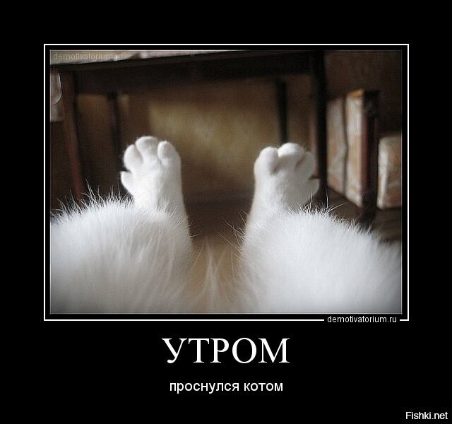 Доброе утро, соляне