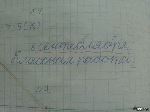 Из солянки