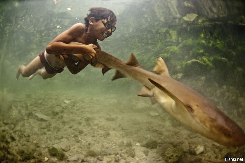 Индонезийский мальчик и его приятель акула в Сулавеси, Индонезия