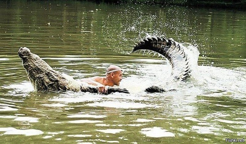 Дружба рыбака Гильберто Шеддена и крокодила Почо которого он когда то спас, а...