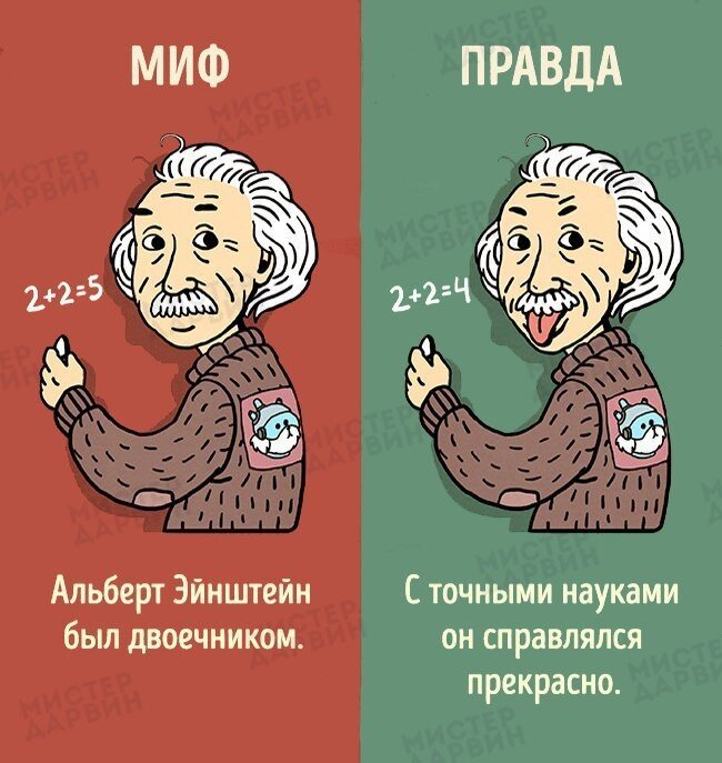Исторические мифы, в которые нам пора перестать верить