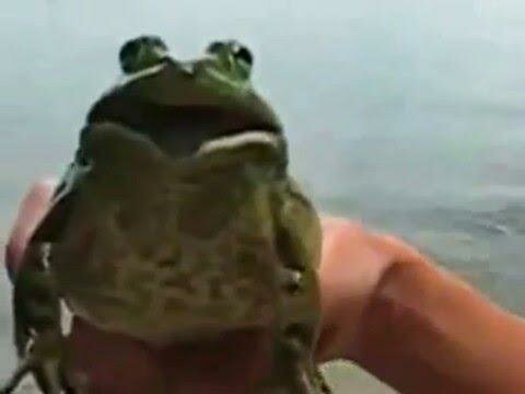 Имперский марш на жабе своими руками 