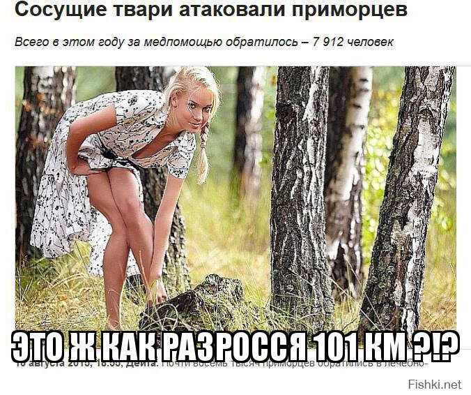 это ж как разросся 101 км ?!?