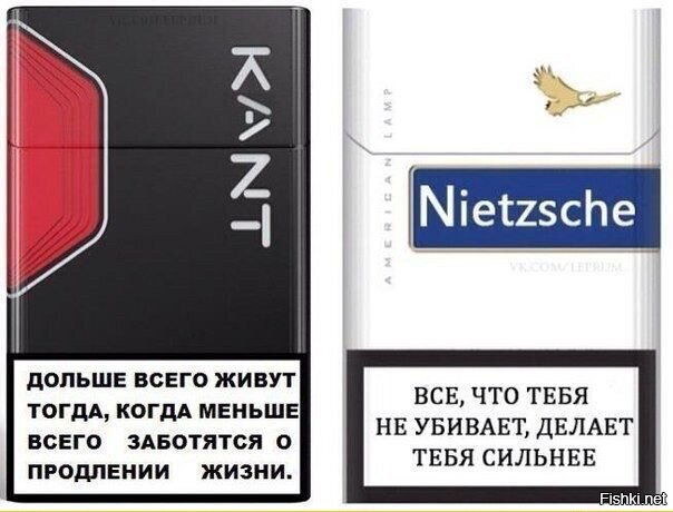 Из солянки