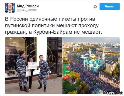 Из солянки
