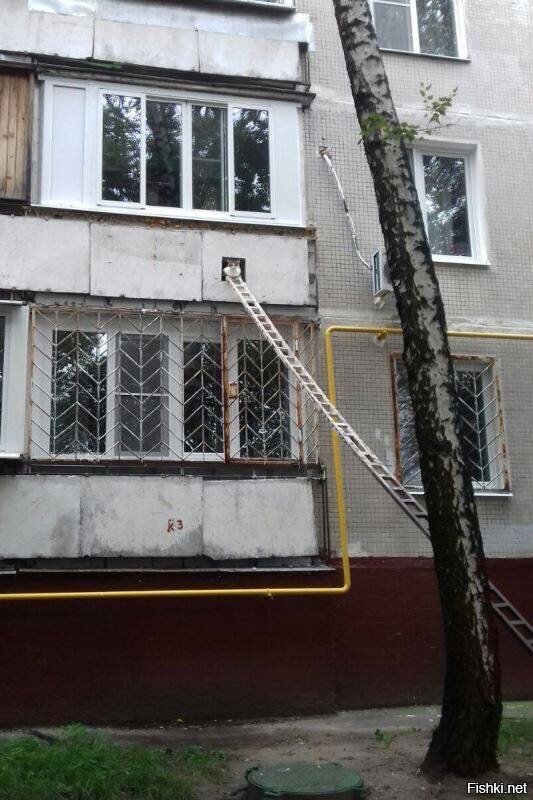 Из солянки