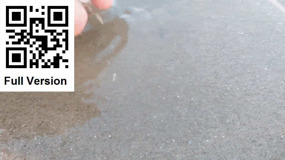 Как морской краб прячется в песок