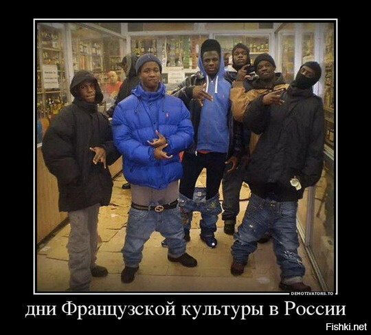 Из солянки