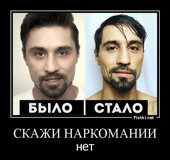 Из солянки