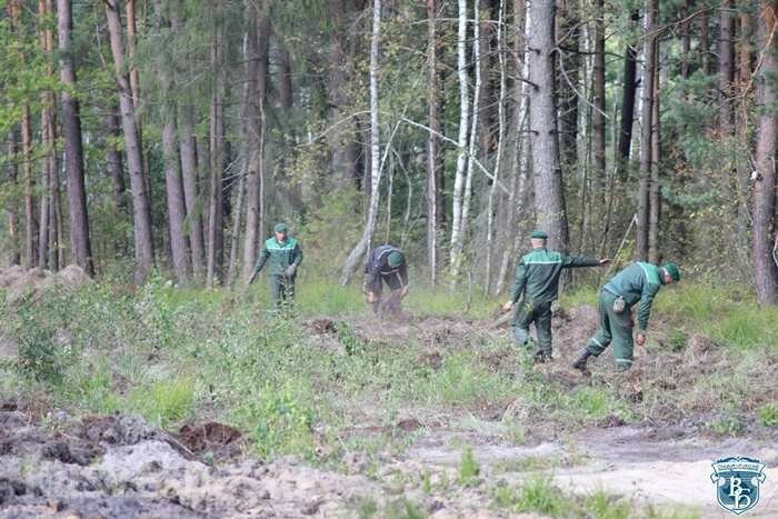Белоруссия отгораживается от Украины забором с сигнализацией