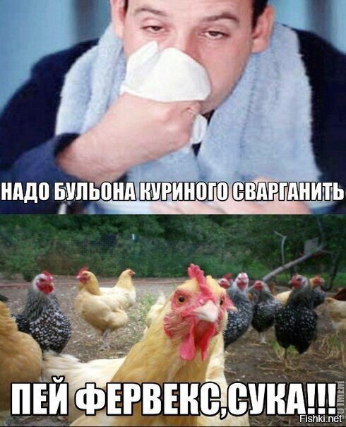 Из солянки