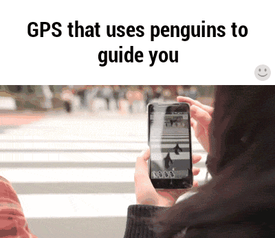 Навигатор, в котором маршрут указывают пингвины 
