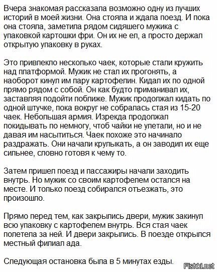 Из солянки