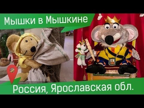 Сколько мышек можно увидеть за 1 час? Открываем сезон мышиная охота в Мышкине)