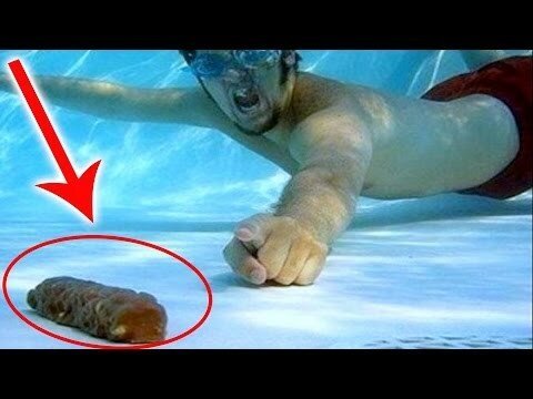 Почему г*вно не тонет?