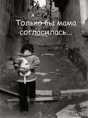 Из солянки