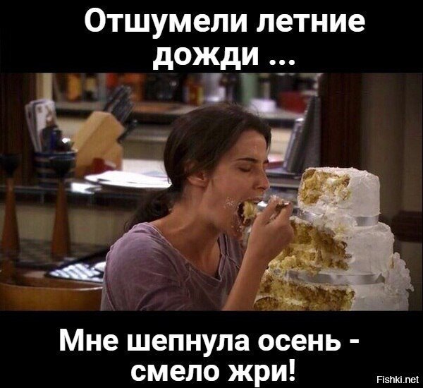 Из солянки