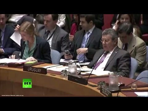 Экстренное заседание Совбеза ООН по Сирии — LIVE