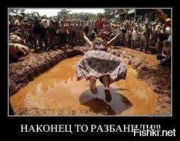 Из солянки
