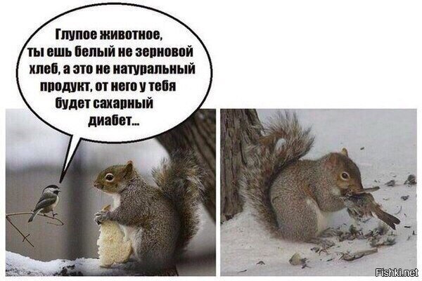 Из солянки