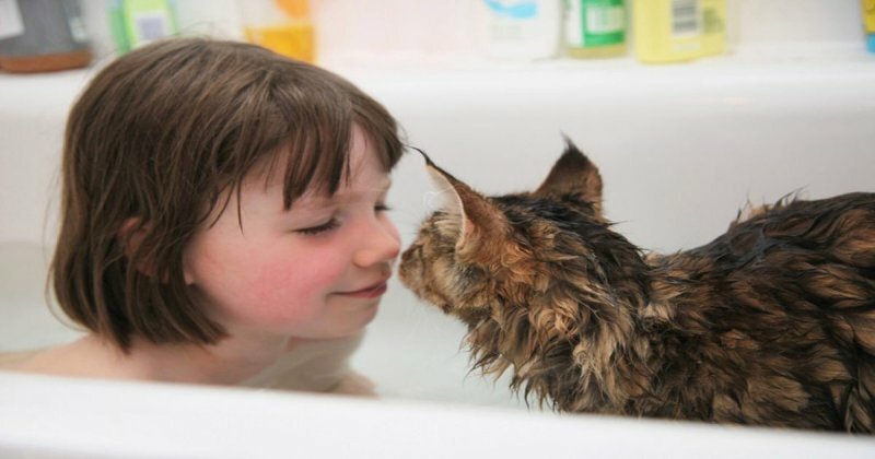 Кошка помогла больной аутизмом девочке научиться взаимодействовать с людьми 