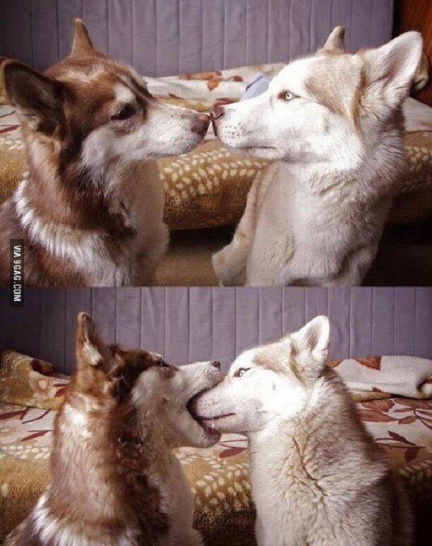 Первый поцелуй