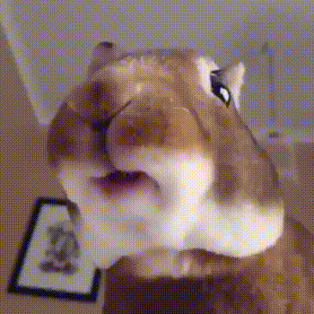 Довольный кролик