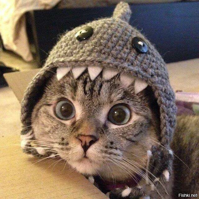 winter is coming