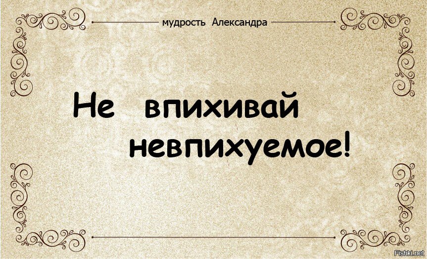 Из солянки