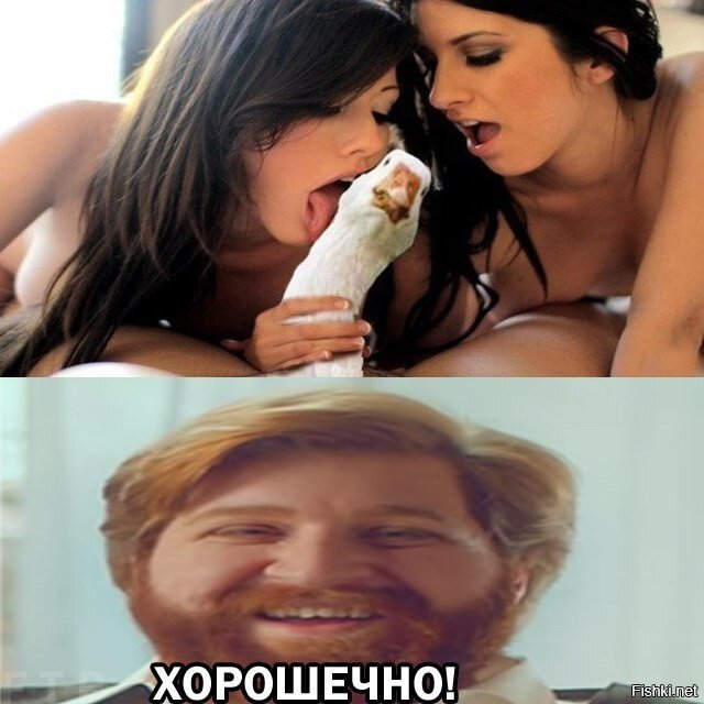 Из солянки