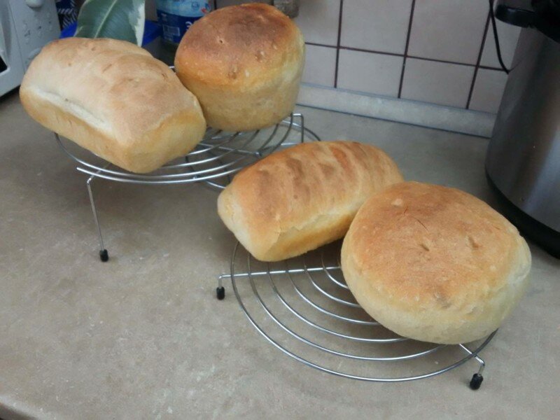 Пшеничный хлеб своими руками. Очень вкусный, ароматный и ничего лишнего!