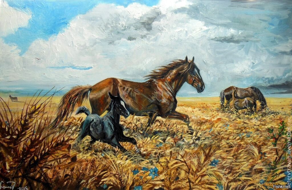 Кони в поле