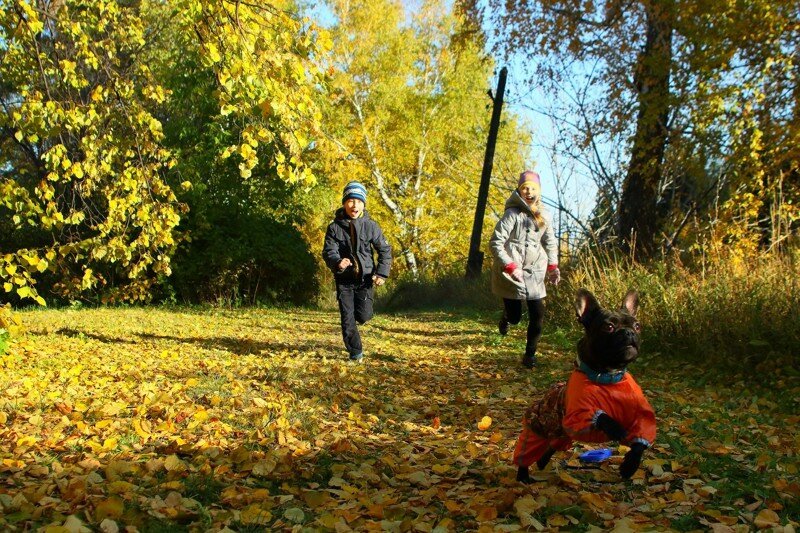 Осень в провинциальном городе. Когда я умру, пожалуй, поселюсь в таком октябре