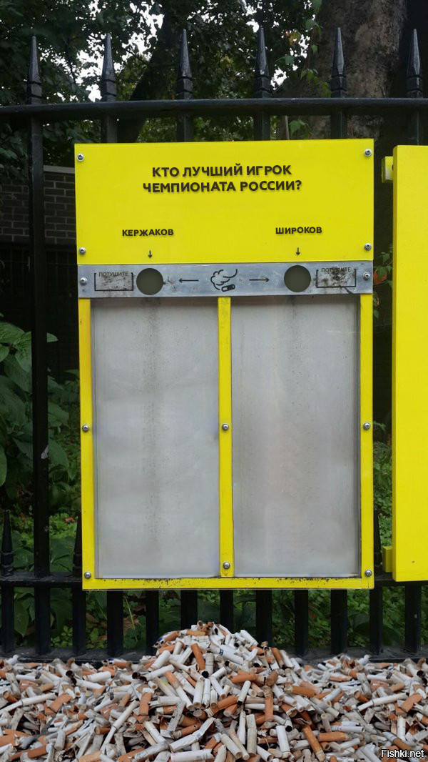 Из солянки