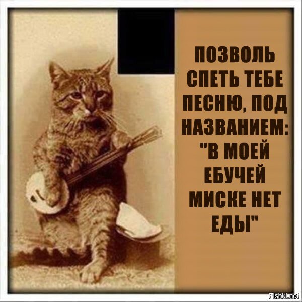 Из солянки