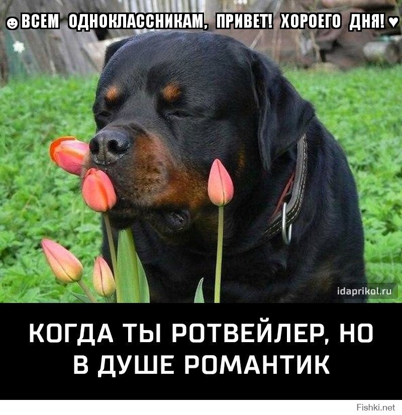 ☻ВСЕМ   ОДНОКЛАССНИКАМ,   ПРИВЕТ!   ХОРОЕГО   ДНЯ! ♥