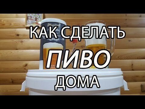 Как сделать ПИВО дома