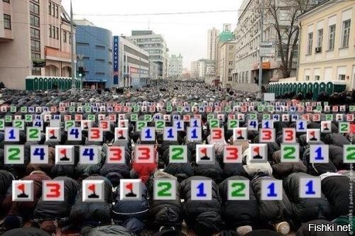 Из солянки