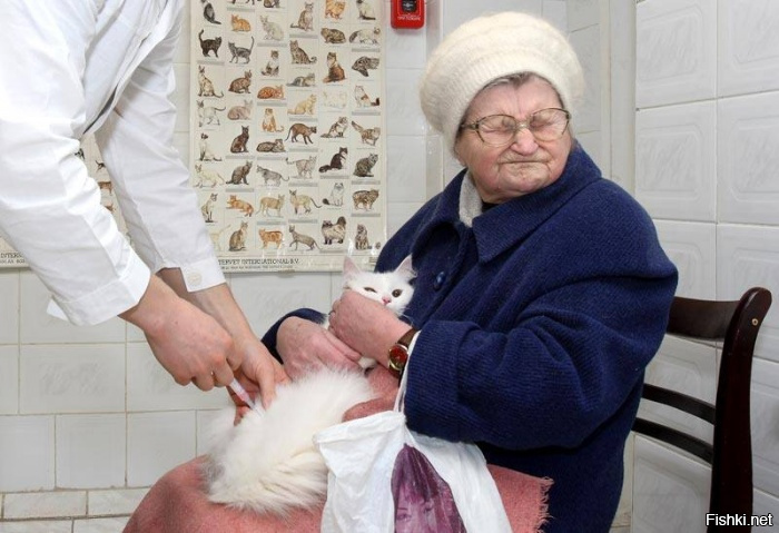 Из солянки