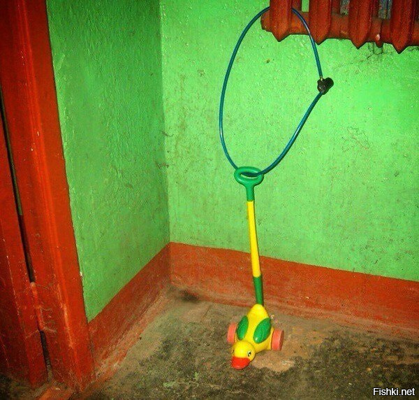 Из солянки